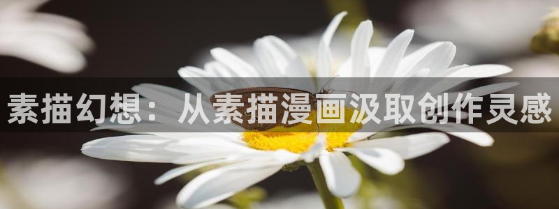 拷贝漫画外网：素描幻想：从素描漫画汲取创作灵感