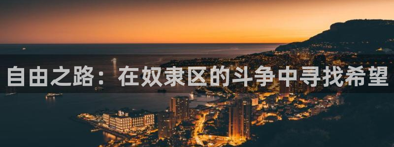 拷贝漫画加速器推荐免费：自由之路：在奴隶区的斗争中寻找希望